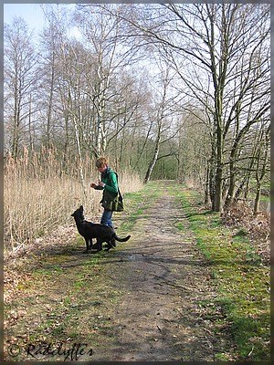 IMG_0034.jpg