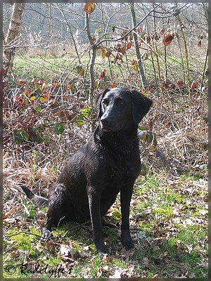IMG_0036.jpg